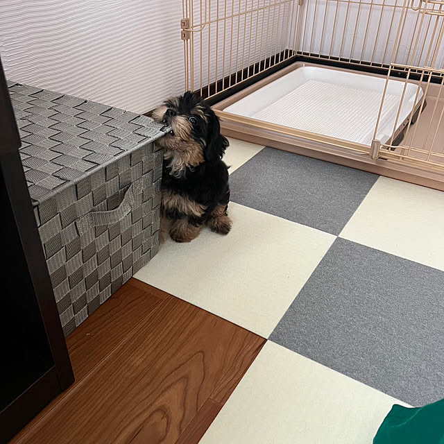 beaさんの部屋
