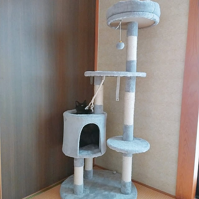 kumiさんの実例写真