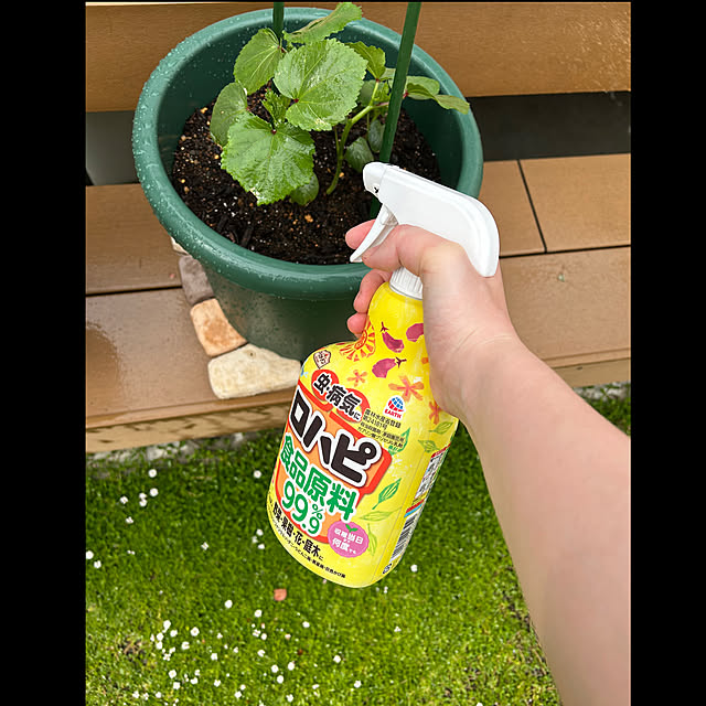 booboobooさんの実例写真
