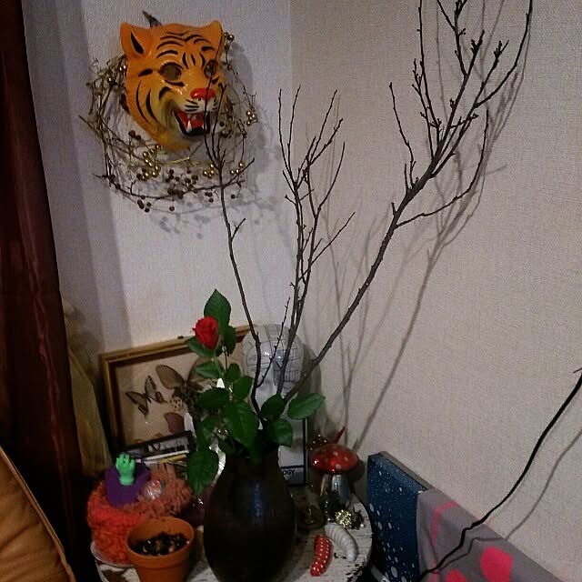 acaさんの実例写真