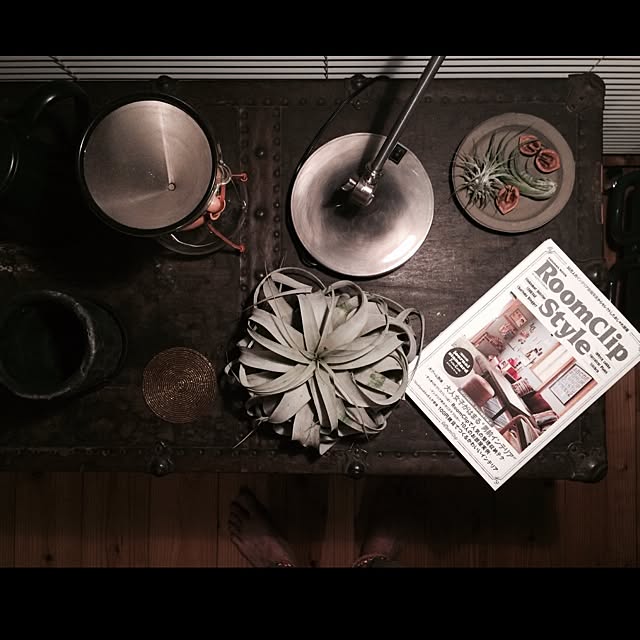 DailyRoomclip