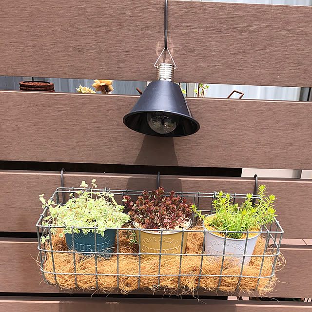 yukkoさんの部屋