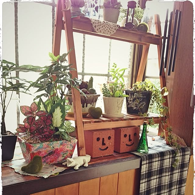 magさんの実例写真