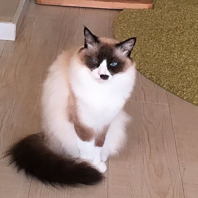 niko-25さんの実例写真