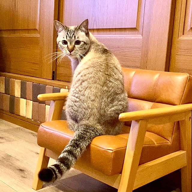 butachanさんの実例写真