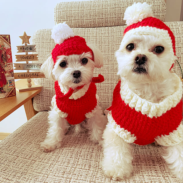maru-cheeさんの実例写真