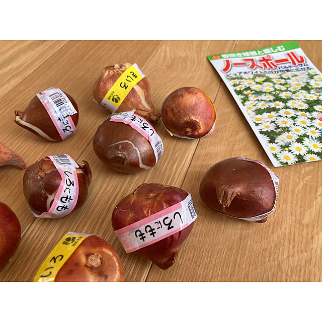 Tamaさんの実例写真