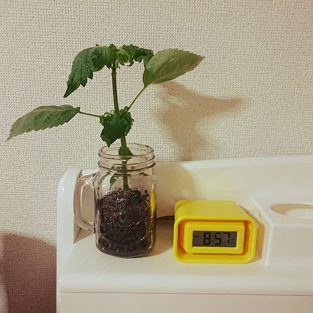 ideamさんの実例写真