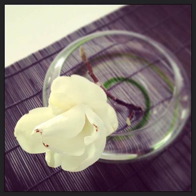 yohleafmeさんの実例写真
