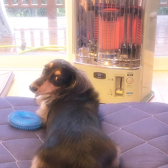 yukapponさんの実例写真