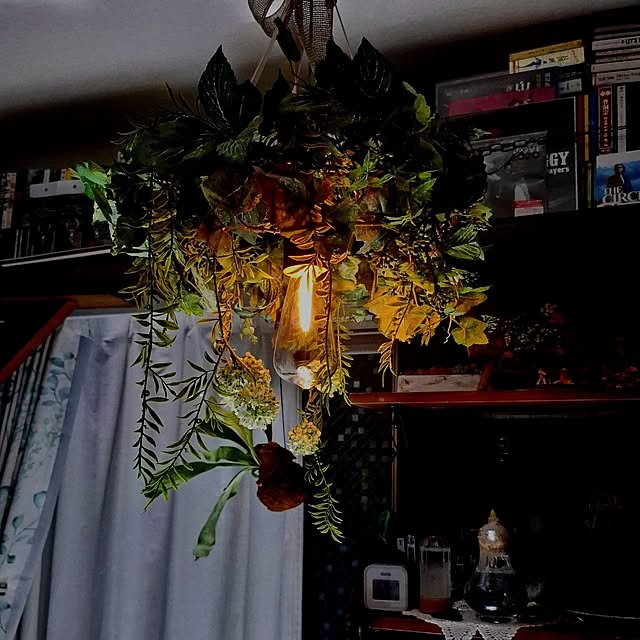 noaさんの実例写真