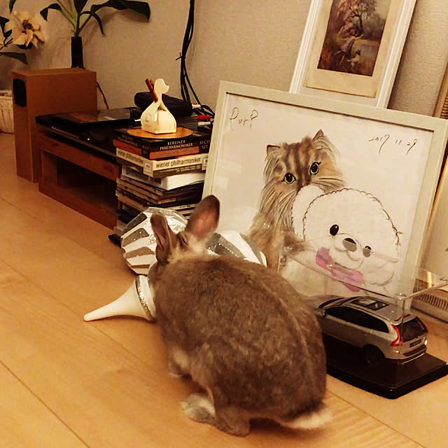 Satokoさんの実例写真