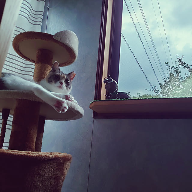 fukuさんの実例写真