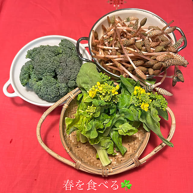 akaidarumaさんの実例写真