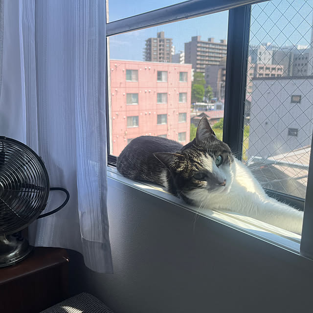 naさんの実例写真