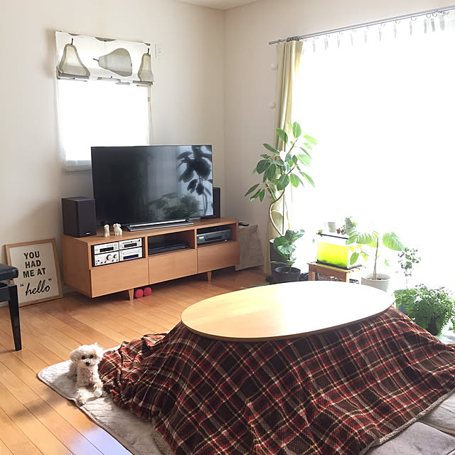 Mさんの実例写真