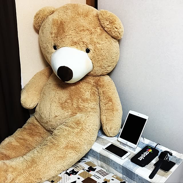 FUさんの実例写真