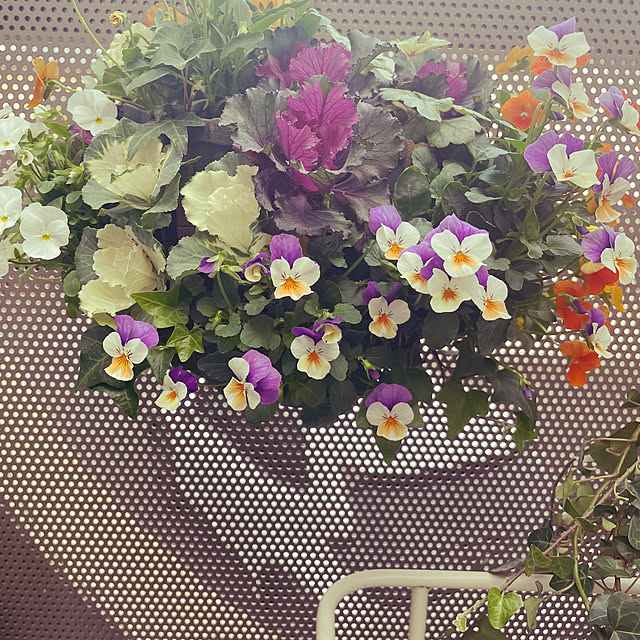 nahonさんの実例写真