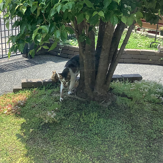 haruminさんの部屋