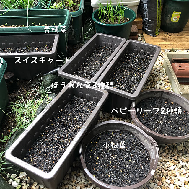 k.homeさんの実例写真