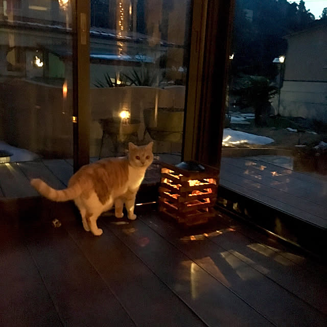 aiaiさんの実例写真
