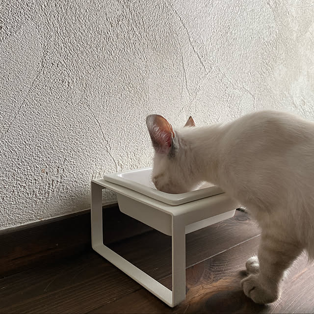 capelさんの実例写真