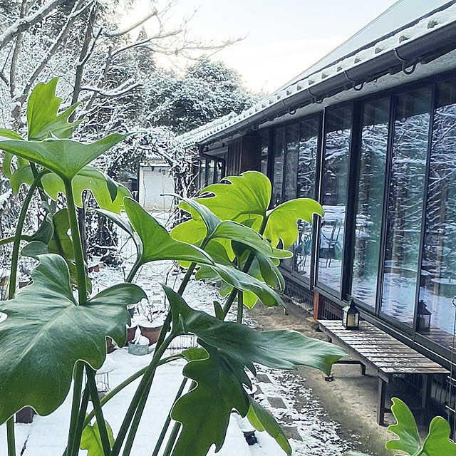 cotaさんの部屋