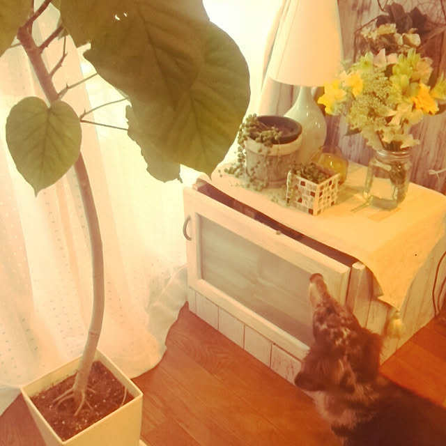 T.Sさんの実例写真
