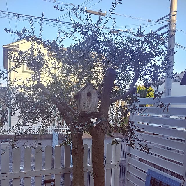 kana_ciiさんの実例写真