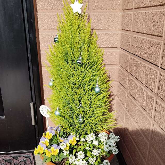 misakiさんの実例写真