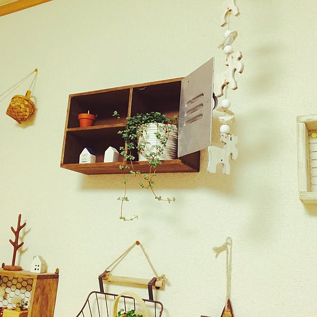 棚/3COINS/多肉植物のインテリア実例 - 2014-11-24 22:27:31