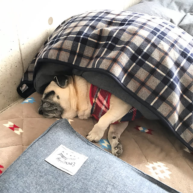 kellyさんの実例写真