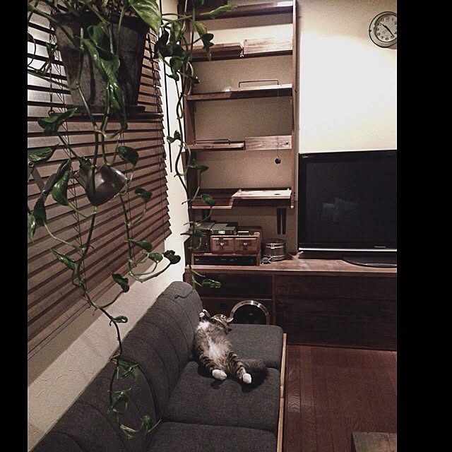 jnkaiさんの実例写真