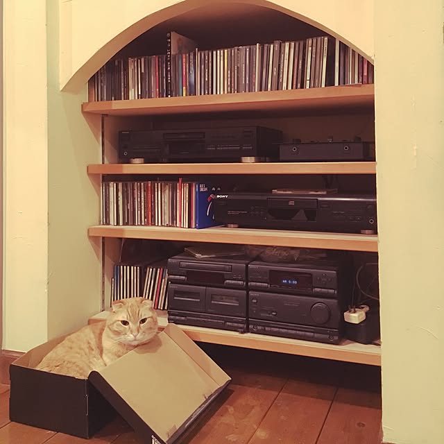 mojohandさんの実例写真