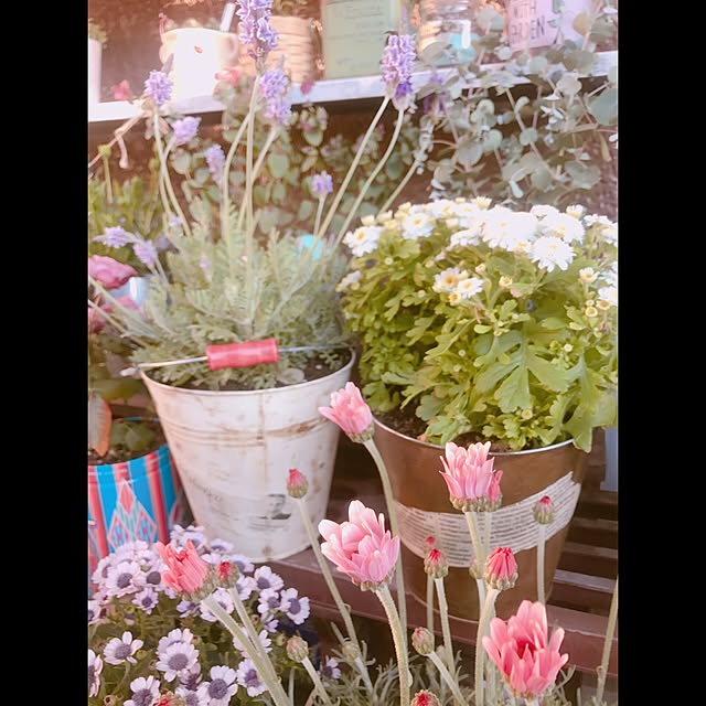 yukakochinさんの実例写真