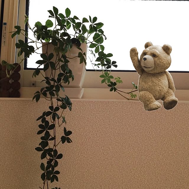 yoccoさんの実例写真