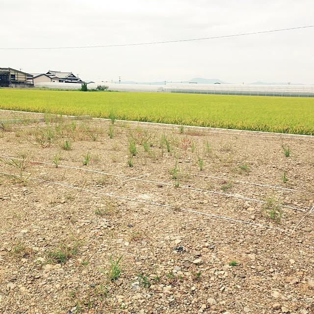 Hiropiさんの実例写真