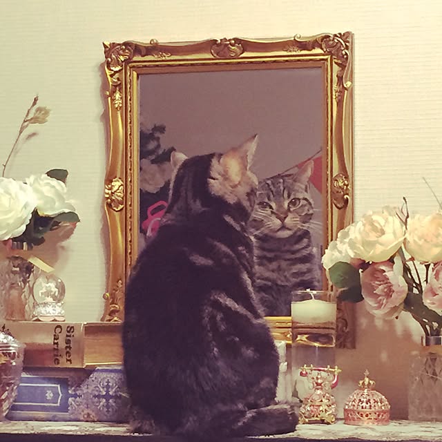 mayu3935さんの実例写真