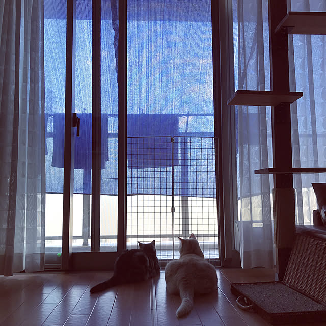 hiyupan88さんの実例写真