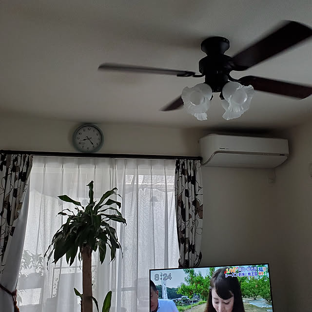 実例写真