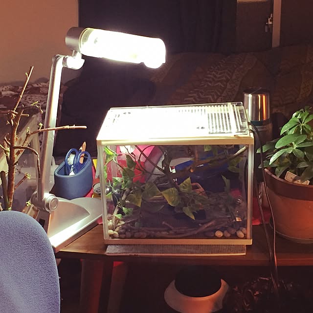 piggyさんの実例写真