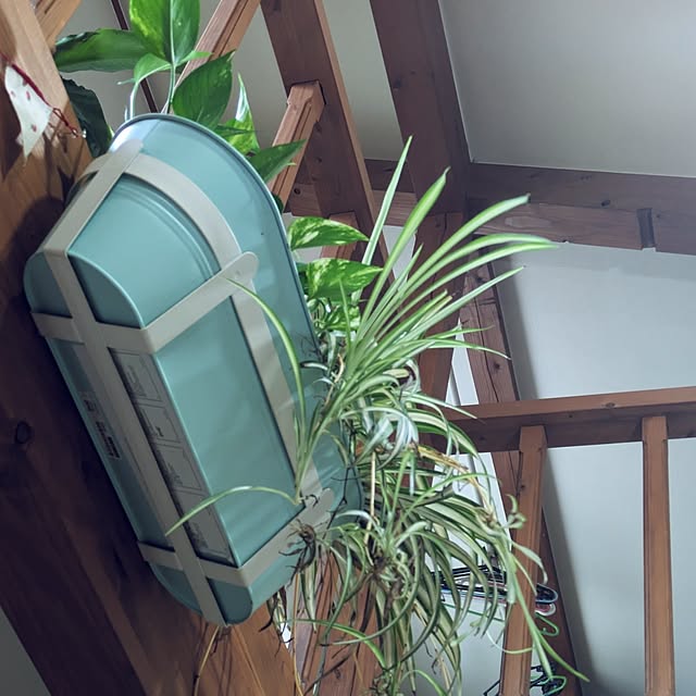 prepreさんの部屋