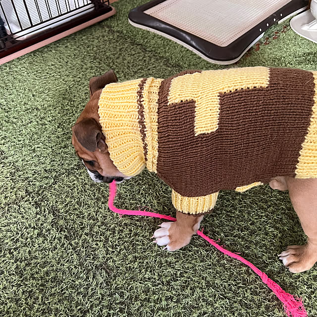 chi_gogaさんの部屋