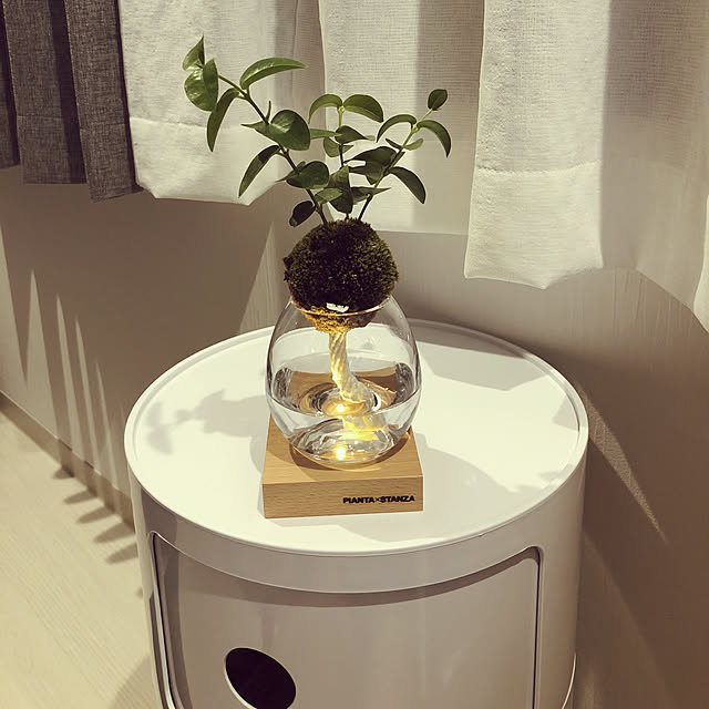 棚/北欧/モノトーン/一人暮らし/観葉植物...などのインテリア実例 - 2019-05-18 20:07:22