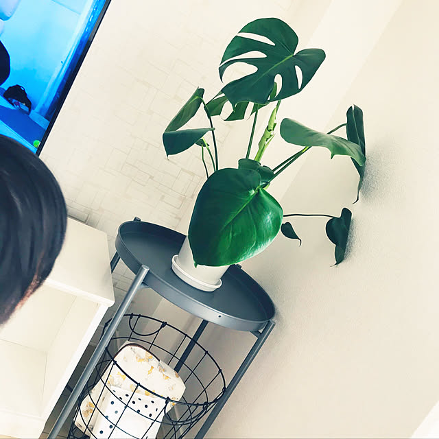 comonaさんの実例写真