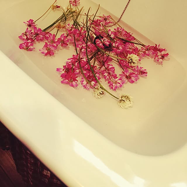 REIKAさんの実例写真