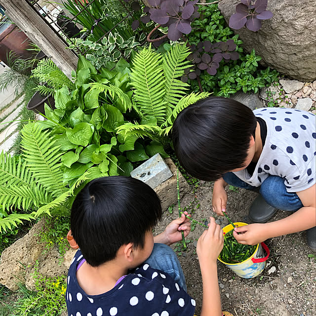 SATOさんの実例写真