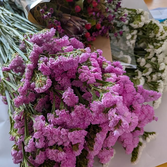 chi_gogaさんの部屋