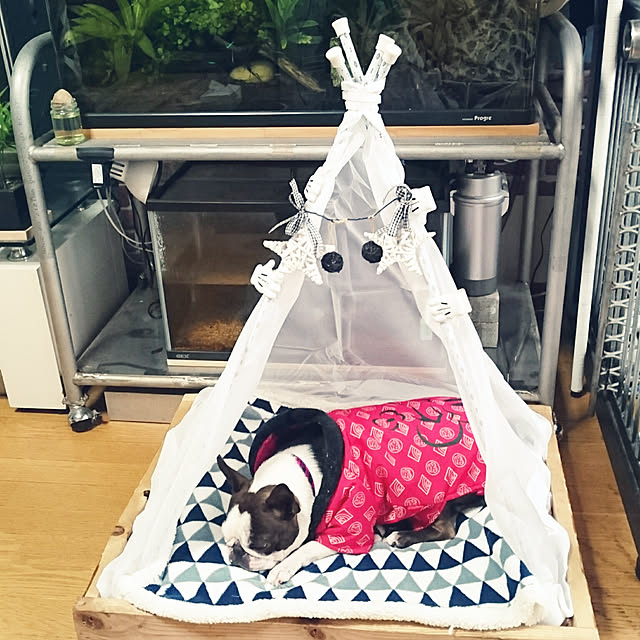 maiさんの実例写真