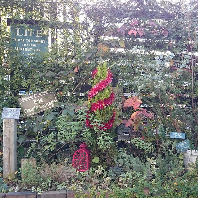 soraさんの実例写真